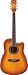 Ibanez PF28ECEVV PF Series Acoustic/Elec Guitar in Vintage Violin