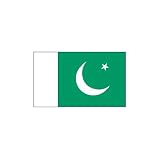 Pakistan NATIONAL Flag 3x5 NEW 3 x 5 PAKISTANI Banner