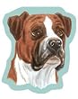 Boxer Sticky Notes Notebook