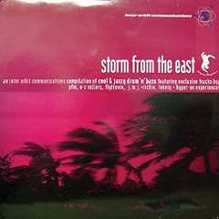 Storm from the East (Dolp) [Vinyl Maxi-Single]