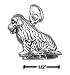 Sterling Silver 3D Newfoundland Charm