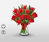 Tulip - Red Lounge