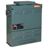 raypak heater manual:Raypak Versa 55K Btu Natural Gas Pool Heater Milli -( B55Mn (004682) , Raypak )