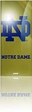 Skinit Protective Skin Fits Ipod Nano 4G (Notre Dame)