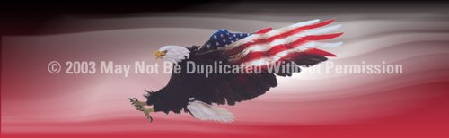 Window Graphic - 16x54 Wings of Freedom Red