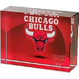 NBA Chicago Bulls Shadow Design Team Logo Desk Ornament/Paperweight