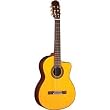 Takamine EG128SC Classical Solid Top Cutaway Acoustic-Electric Guitar