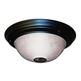 IMAGE OF Heath/Zenith SL-4303-BK 360-Degree Motion-Activated Indoor/Outdoor Ceiling Light, Black