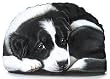 Border Collie Pupperweight Paperweight Dog Dogs Pupper Weight