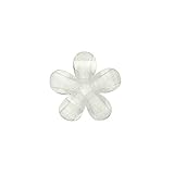 The Original Pedi Spacers