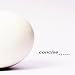 concise-feat.-flaque-ingenue cd cover