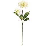 MAGIQ 東京堂 上質な造花  モネールダリア   クリーム FM008518-001