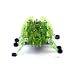 Hexbug Original - Green