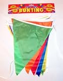 Bunting 30cm Penant 25 On A 7m 25 Stretch - Rainbow (F02666)