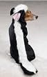 Dog Costume - Li'l Stinker Dog Skunk Halloween Costume - Large