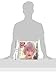 Taylor Swift 2014 Square 12x12