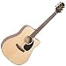 G340SC Acoustic Guitar