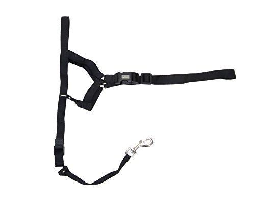 Coastal Pet Walk'n Train Dog Head Halter Size: 4