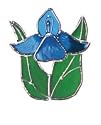 Mini Angel/Blue (Pak of 3 only)