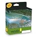 Rio Coldwater 15 Foot VersiTip Fly Line