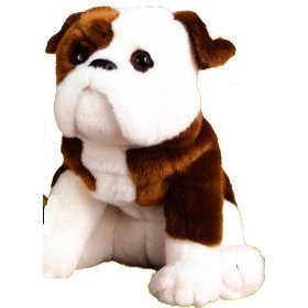 bulldog