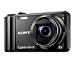 SONY DSC-H55 - black + Pix compact leather crust case 11 x 3.5 x 8 cm + 8 GB SDHC Memory Card
