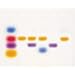 Edvotek S-45 What Size Are Your Genes?