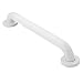 Moen LR8724W Home Care White 24-Inch Grab Bar, White