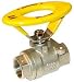 Webstone Valve 43723-OH Stainless Steel 3/4