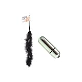 Pipedream Products Fetish Fantasy Series Feather Streamer Black Adult Sex Toy Kit