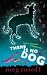 There Is No Dog