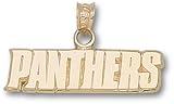 Florida Panthers NHL 10K Charm