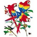 Parrots Adult Sweatshirt