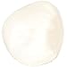 3B Scientific A35/2R Plastic Right Patella Model