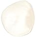 3B Scientific A35/2R Plastic Right Patella Model