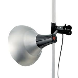 Daylight Studio Lamp With Tripod