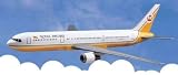ROYAL BRUNEI BOEING B767-300 1:200 MODEL