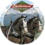 Set of 4 Absorbent Coasters - Clydesdales