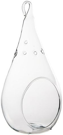 Glass Terrarium 7.25" Teardrop