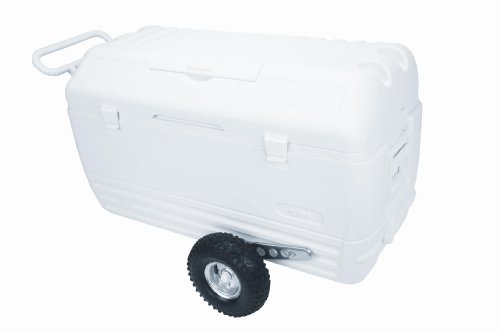 igloo 165 qt cooler
