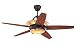 Monte Carlo 5AHR60RBD Arch, 60-Inch 5-Blade Ceiling Fan with Remote and Light Kit, Roman Bronze Motor Finish and Teak Veneer Blades