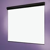 Glass Beaded Silhouette / Series M with AutoReturn Manual Screen - 6' diagonal NTSC Format