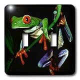 Frogs - Frog - Light Switch Covers - double toggle switch