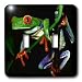 Frogs - Frog - Light Switch Covers - double toggle switch