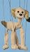 cocker_spaniel6cocker spaniel - Dog Cocker Spaniel Small Marionette B344