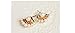 Plum Street Gifts & More llc Latest Fashion- Front and Back Pearl Bead Earrings - Ear Jacket Earings