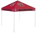 South Carolina Team Color Tailgate Tent