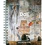 Dali 2009 (Diaries)