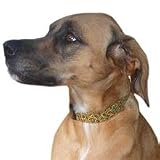 Collar Large Autumn Stripe