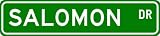 SALOMON Street Name Sign ~ Personalized Family Lastname Sign ~ Gameroom, Basement, Garage Sign